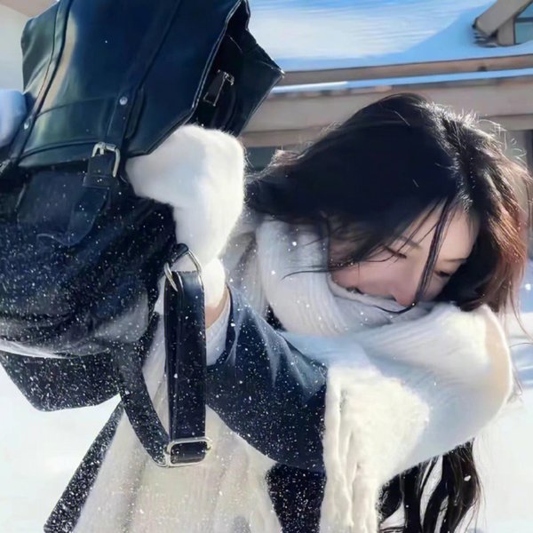 夫仇记